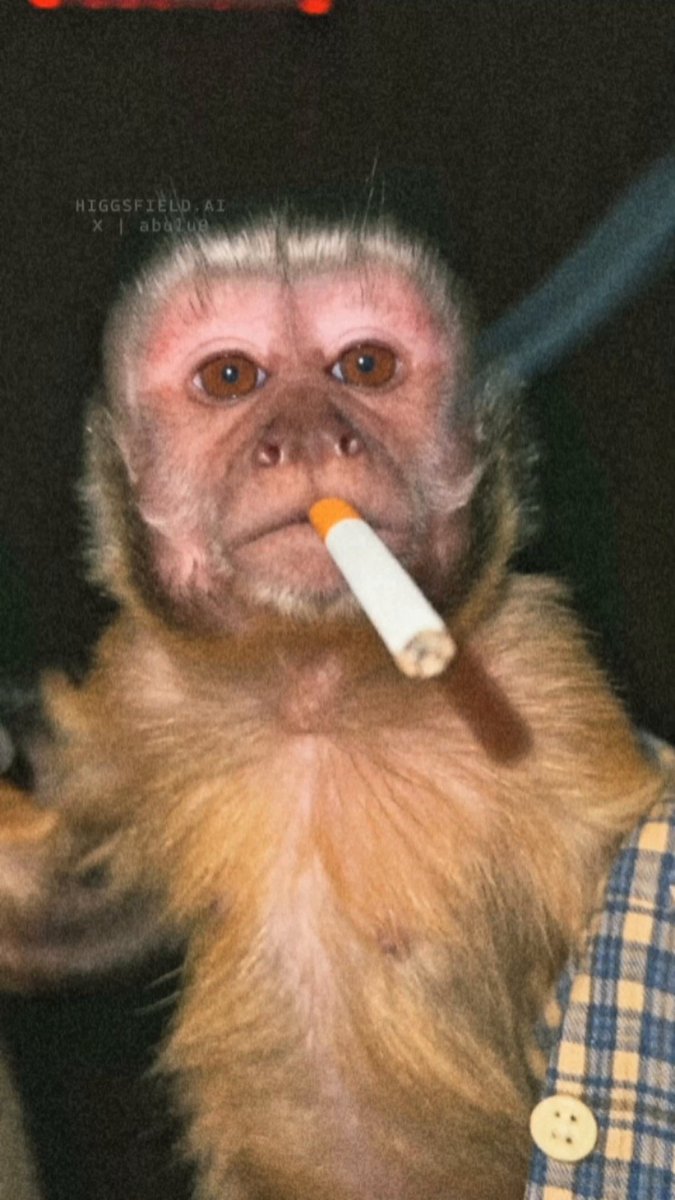 Baby Monkey House Party Scene — example output
