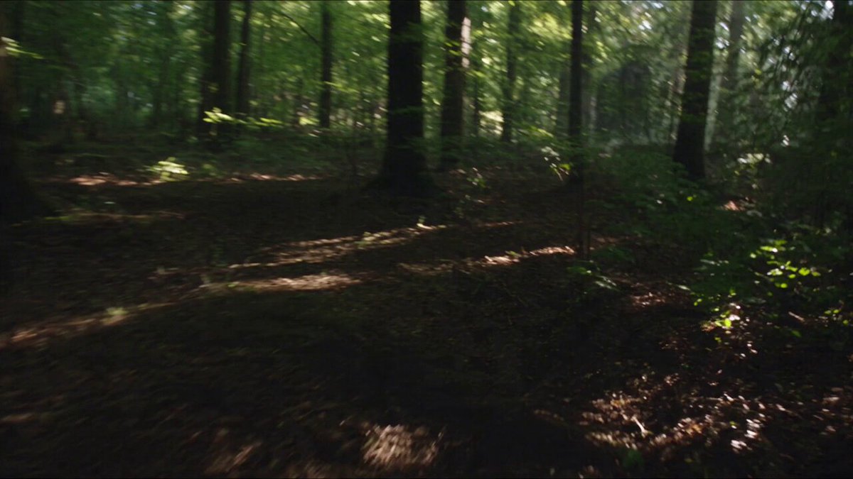 Bigfoot Forest Found Footage — example output