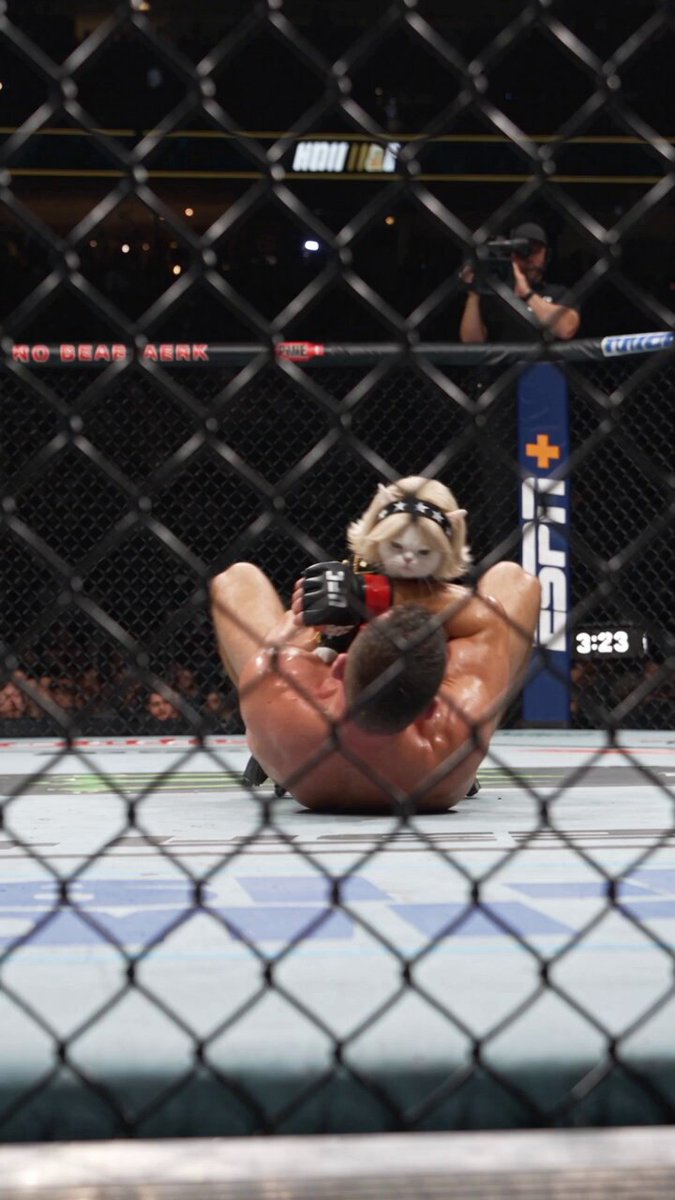 Cat vs UFC Fighter Grappling — example output
