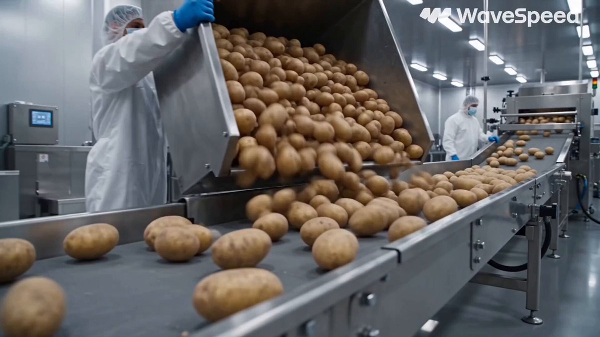 Automated French Fries Factory Documentary — example output