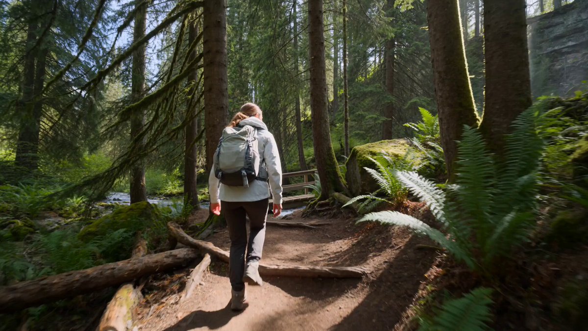 Lush Mountain Forest Hike Travel Documentary — example output