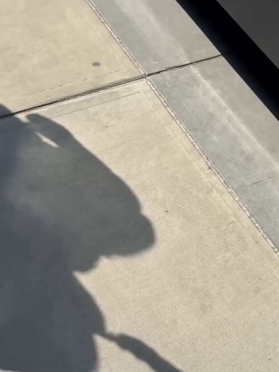 Raw iPhone Bystander Footage Template — example output
