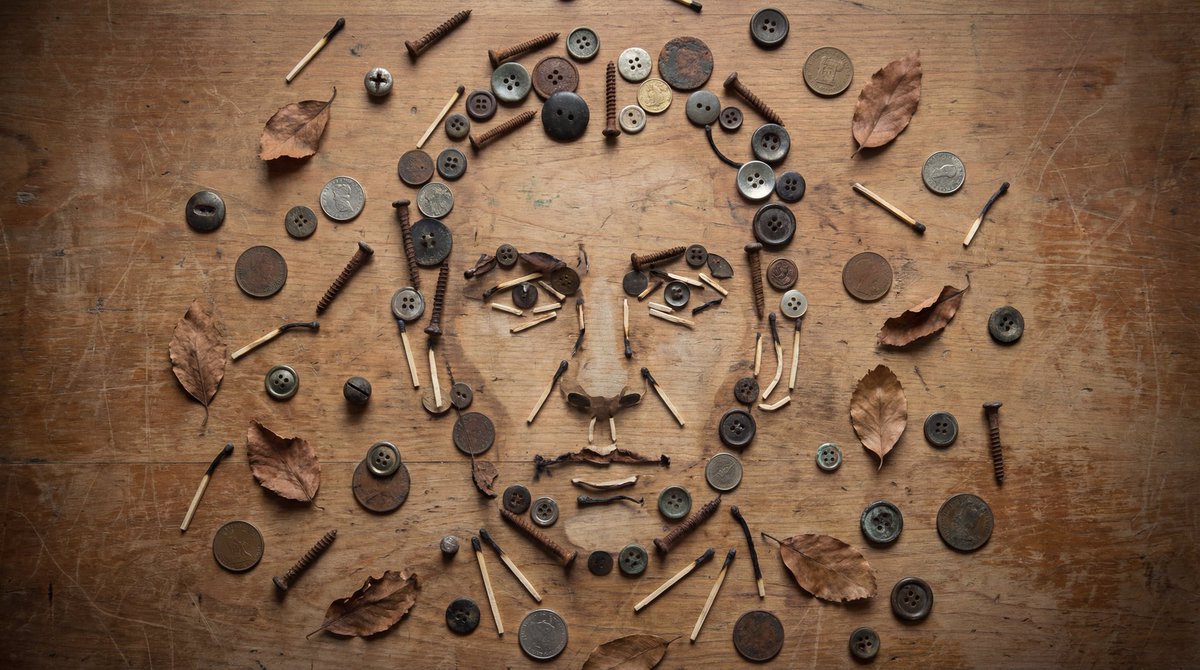 Still-Life Object Portrait Illusion — example output