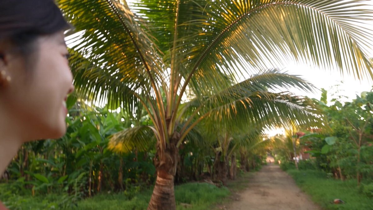 Tropical Village Travel Vlog — example output